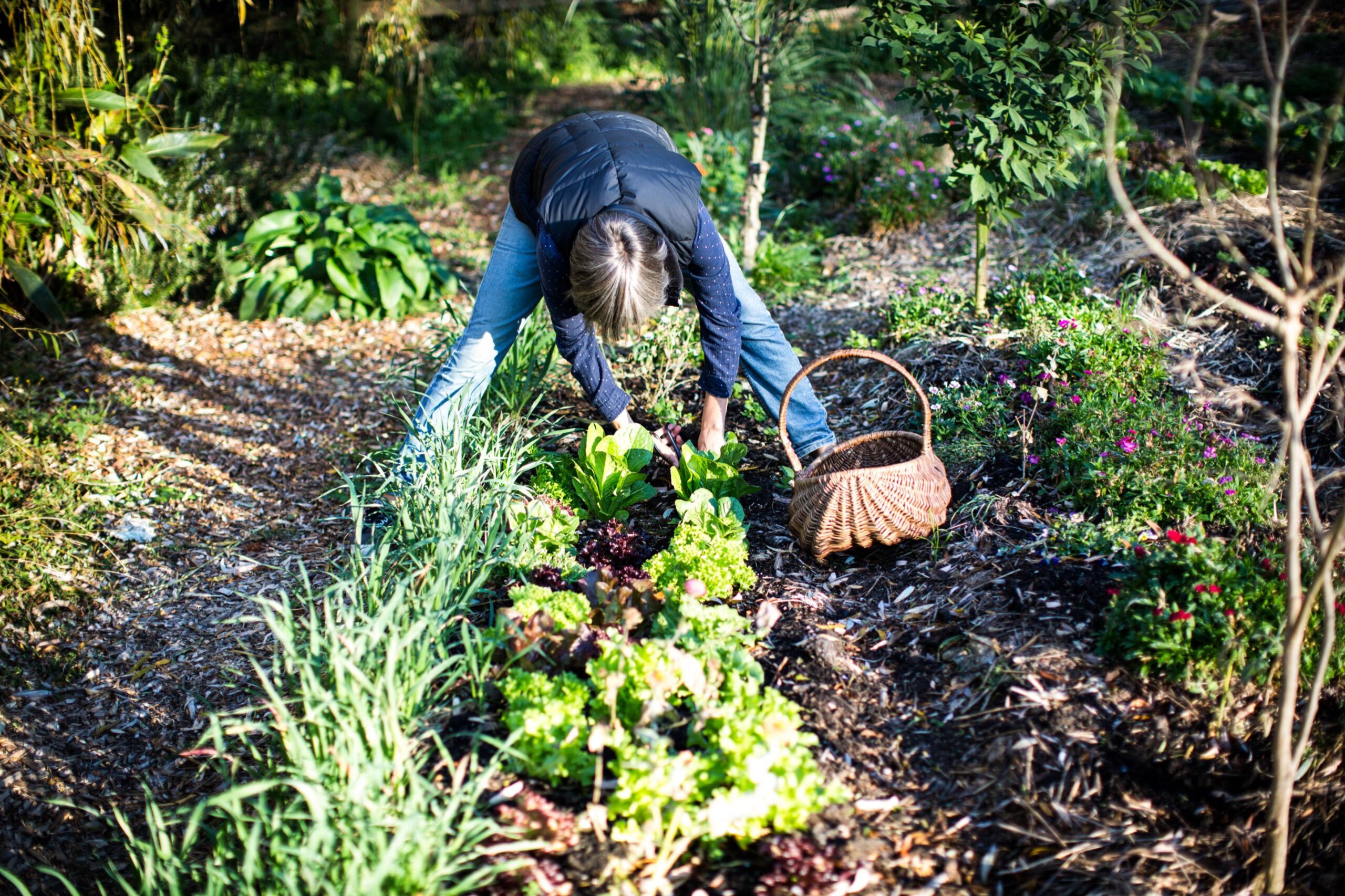 Growing your own food | Food Fairness Illawarra