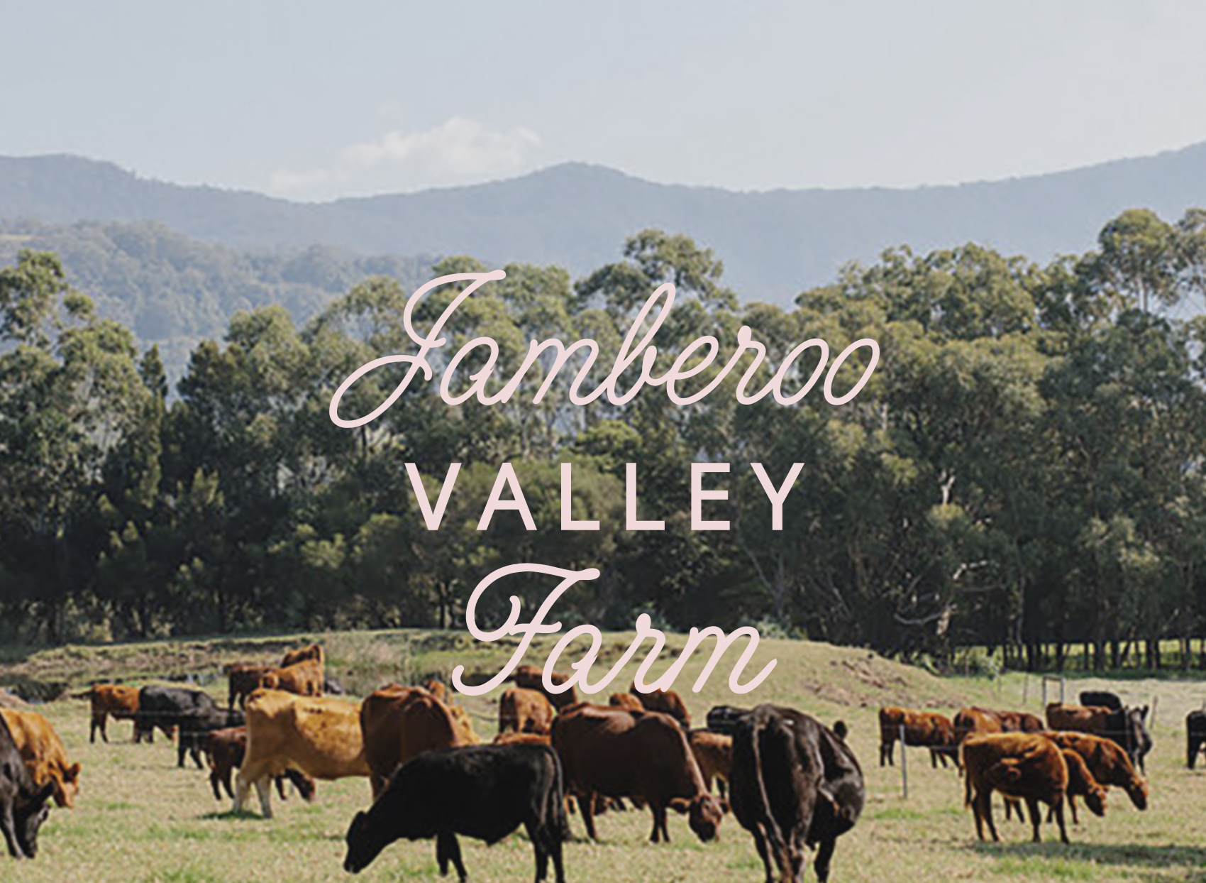 Jamberoo Valley Farm Logo