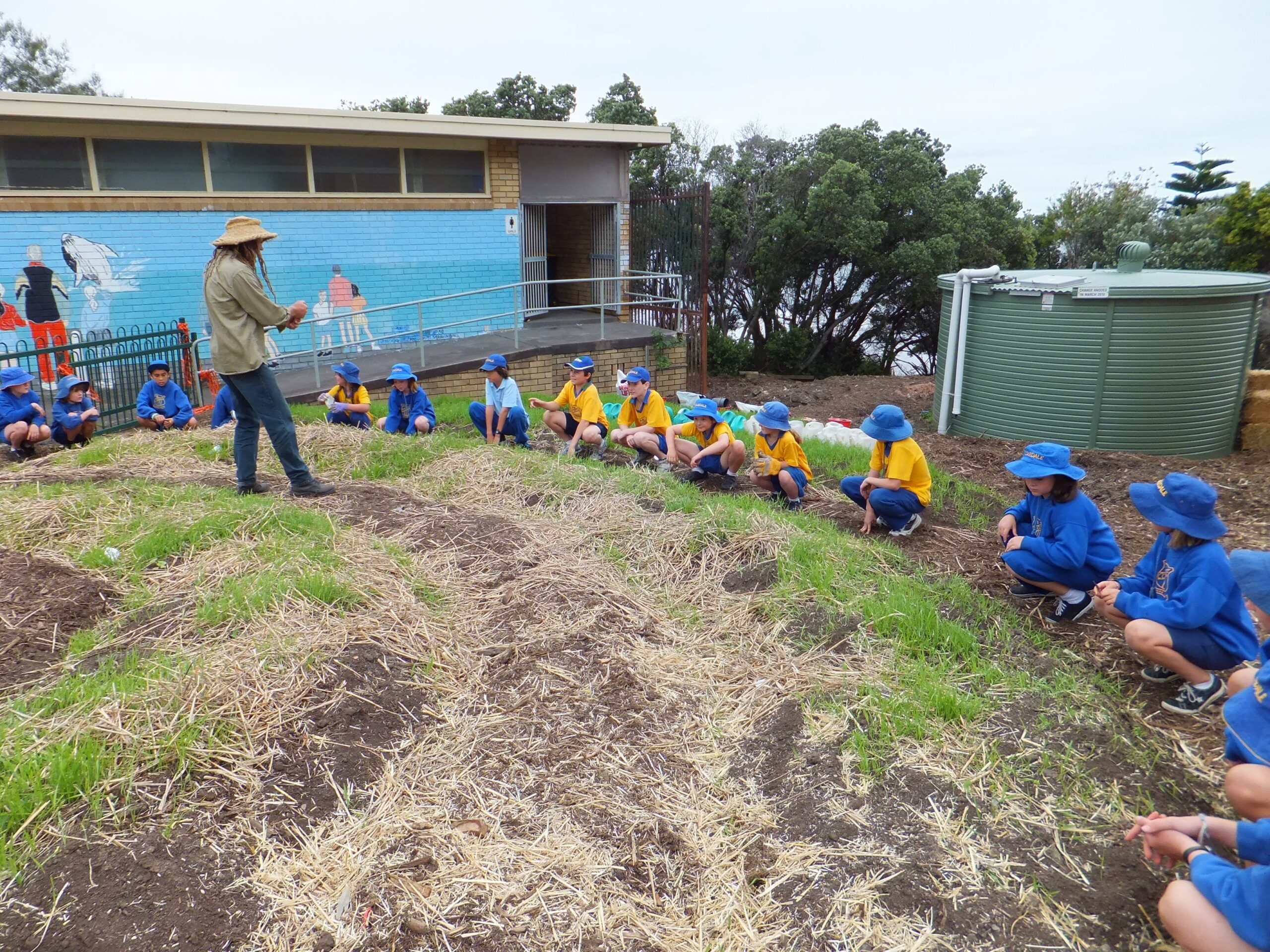 Coledale Public School | Food Fairness Illawarra