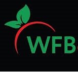 Woonona Fruit Basket Logo