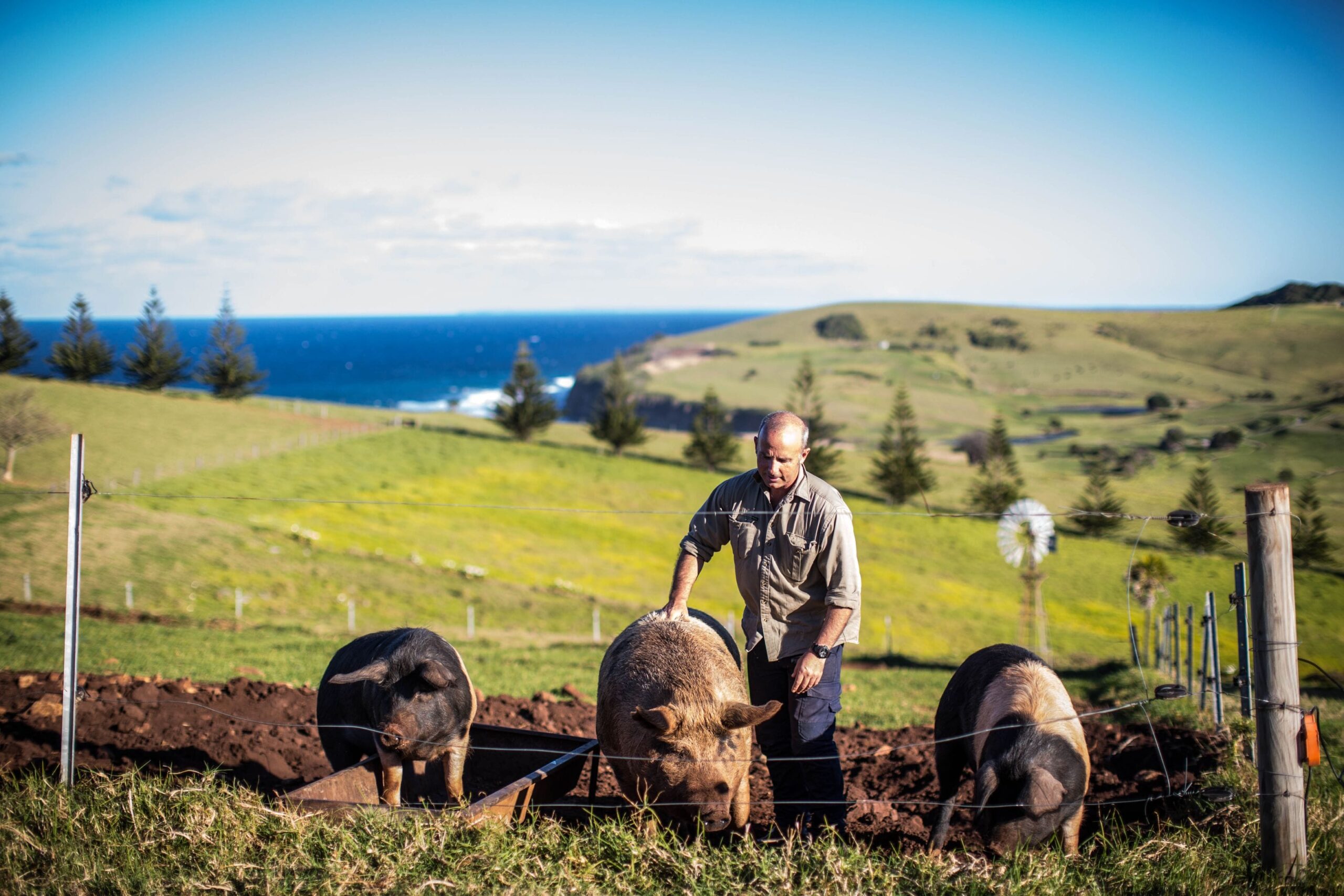 Buena Vista Farm Food Fairness Illawarra