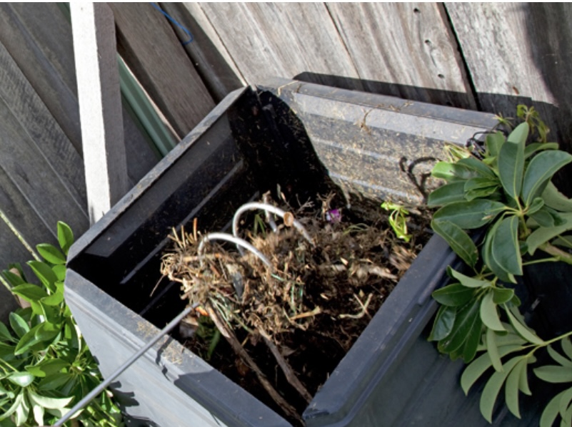 Wollongong City Council Compost & Organic Waste Food Fairness Illawarra