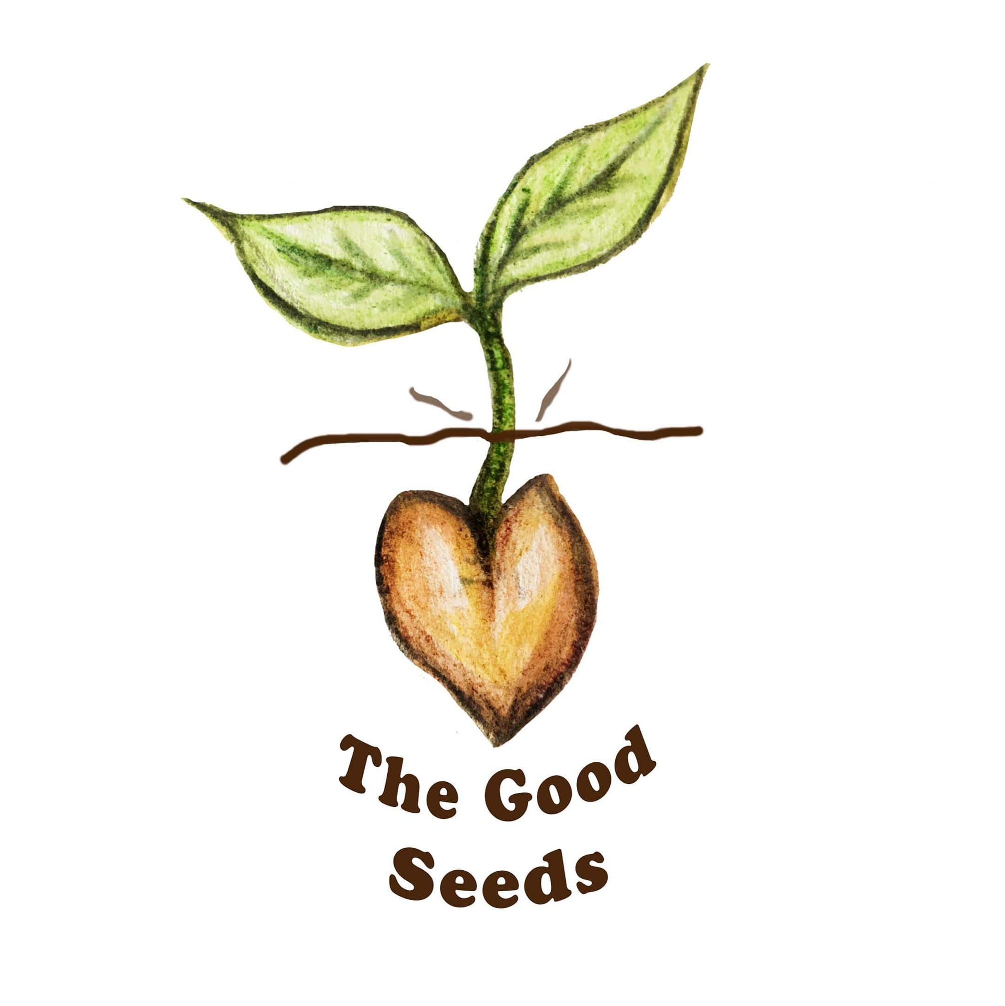 The Good Seed Logo