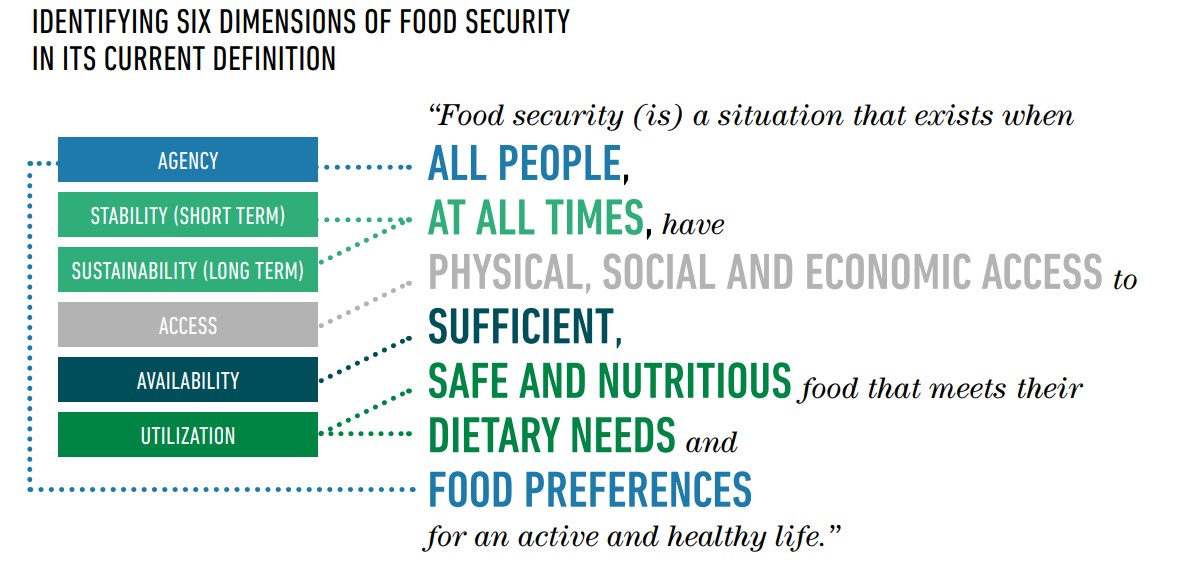 make-it-count-the-launch-of-the-household-food-security-data-consensus