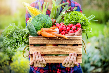 The Organic Farm Gate Market Logo