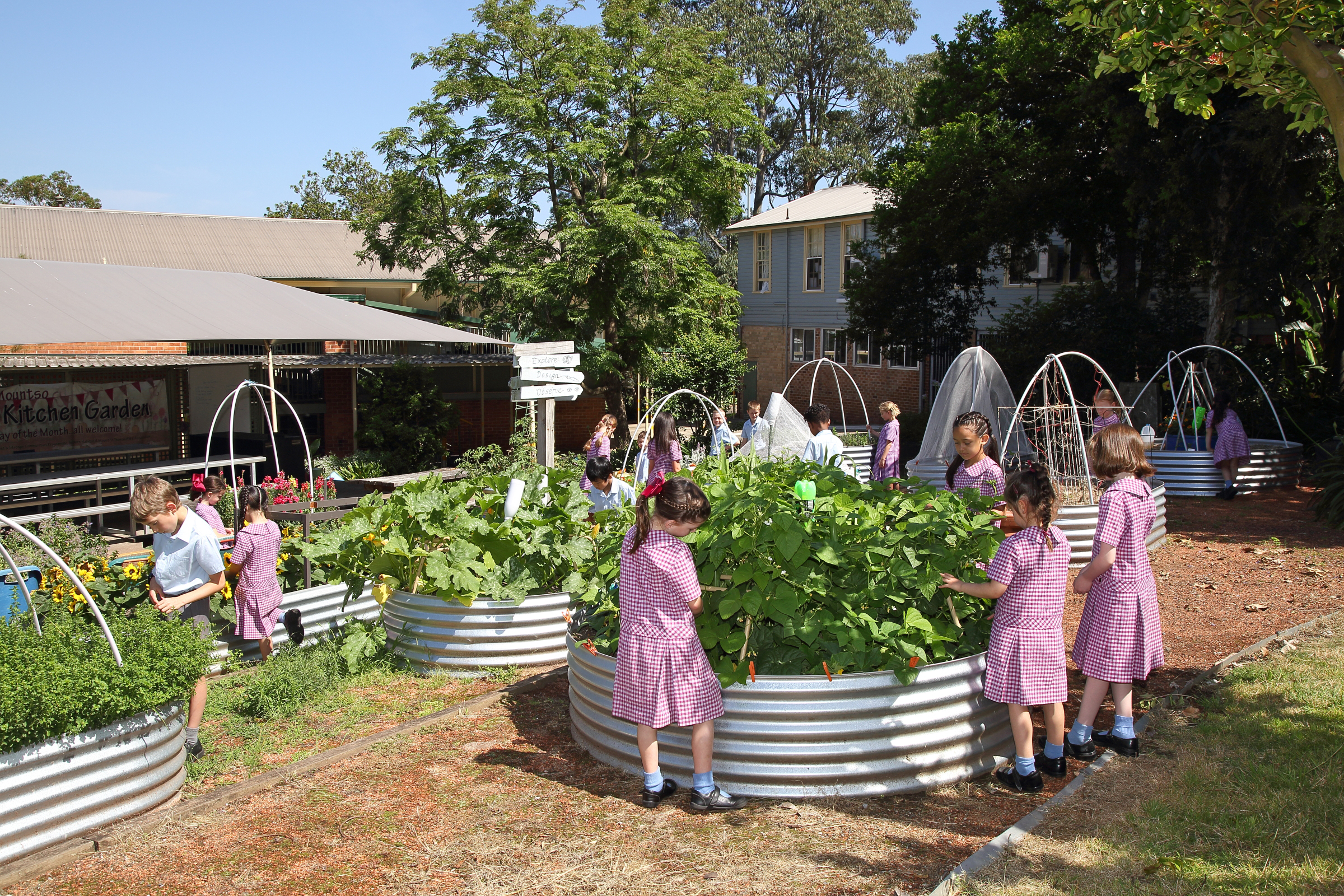 Wollongong / Mount St Thomas Public School