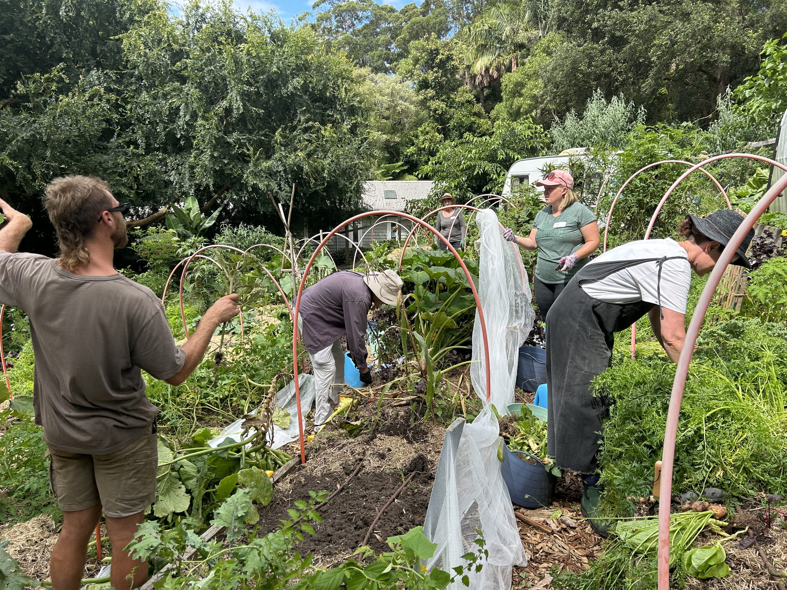 Otford / Gilly’s Kitchen Garden