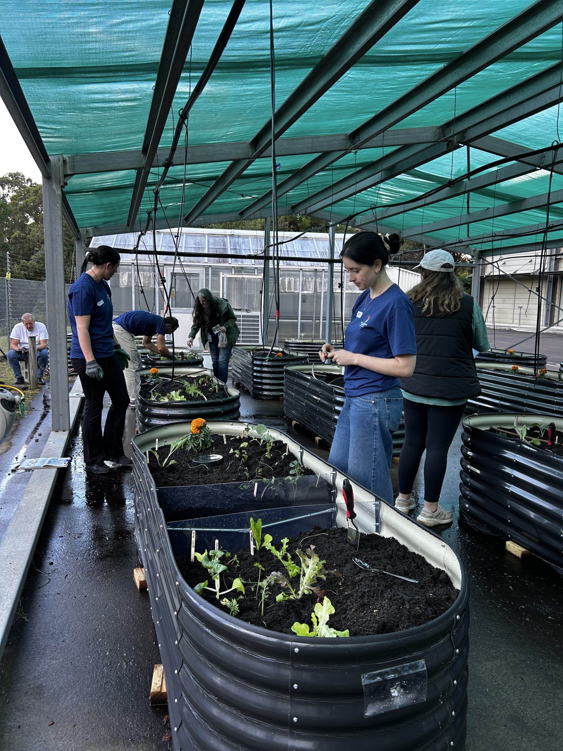 Keiraville / UOW Food Warriors Programme