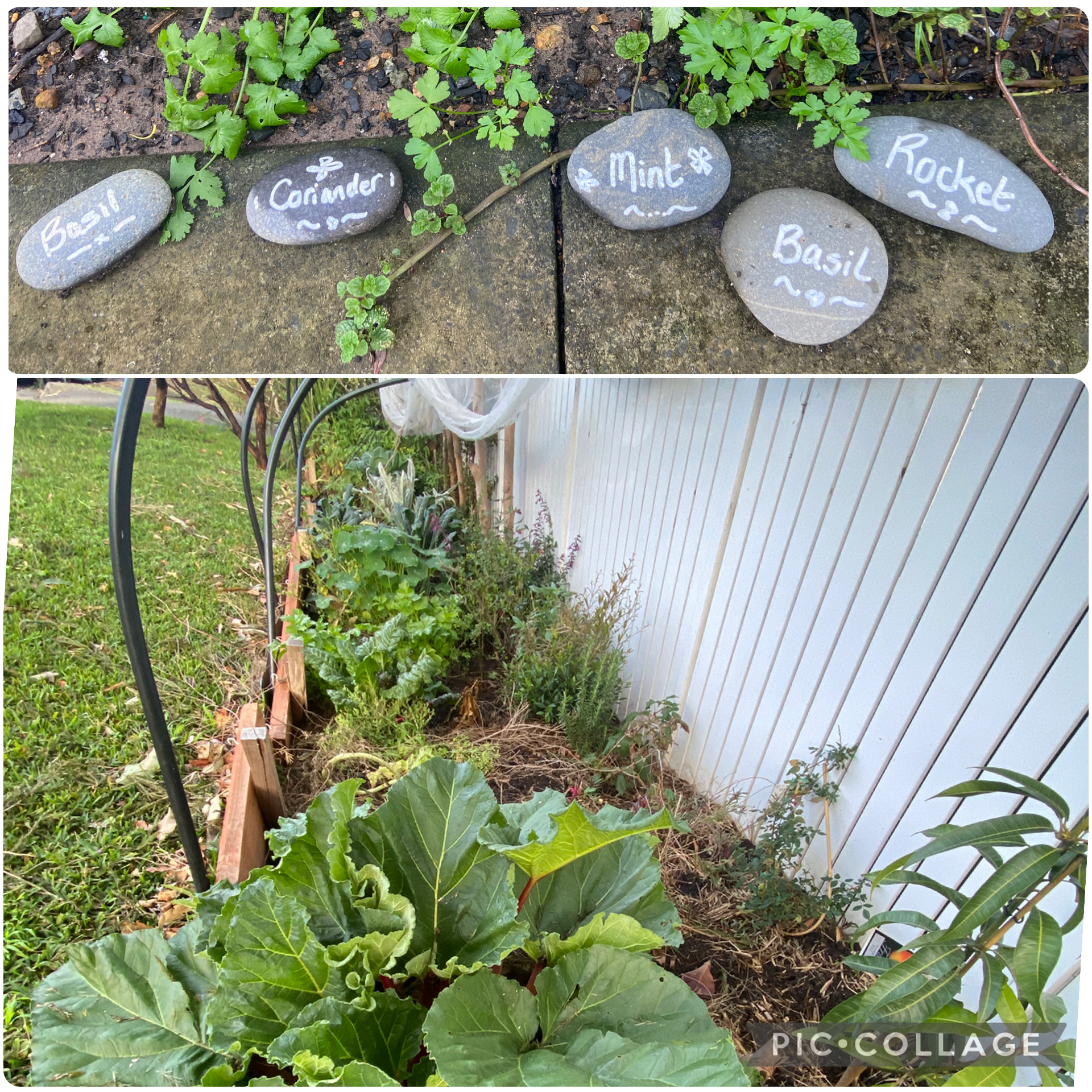 Thirroul / Warren & Karen