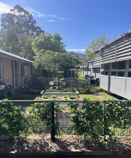 Bulli / Bulli Public School
