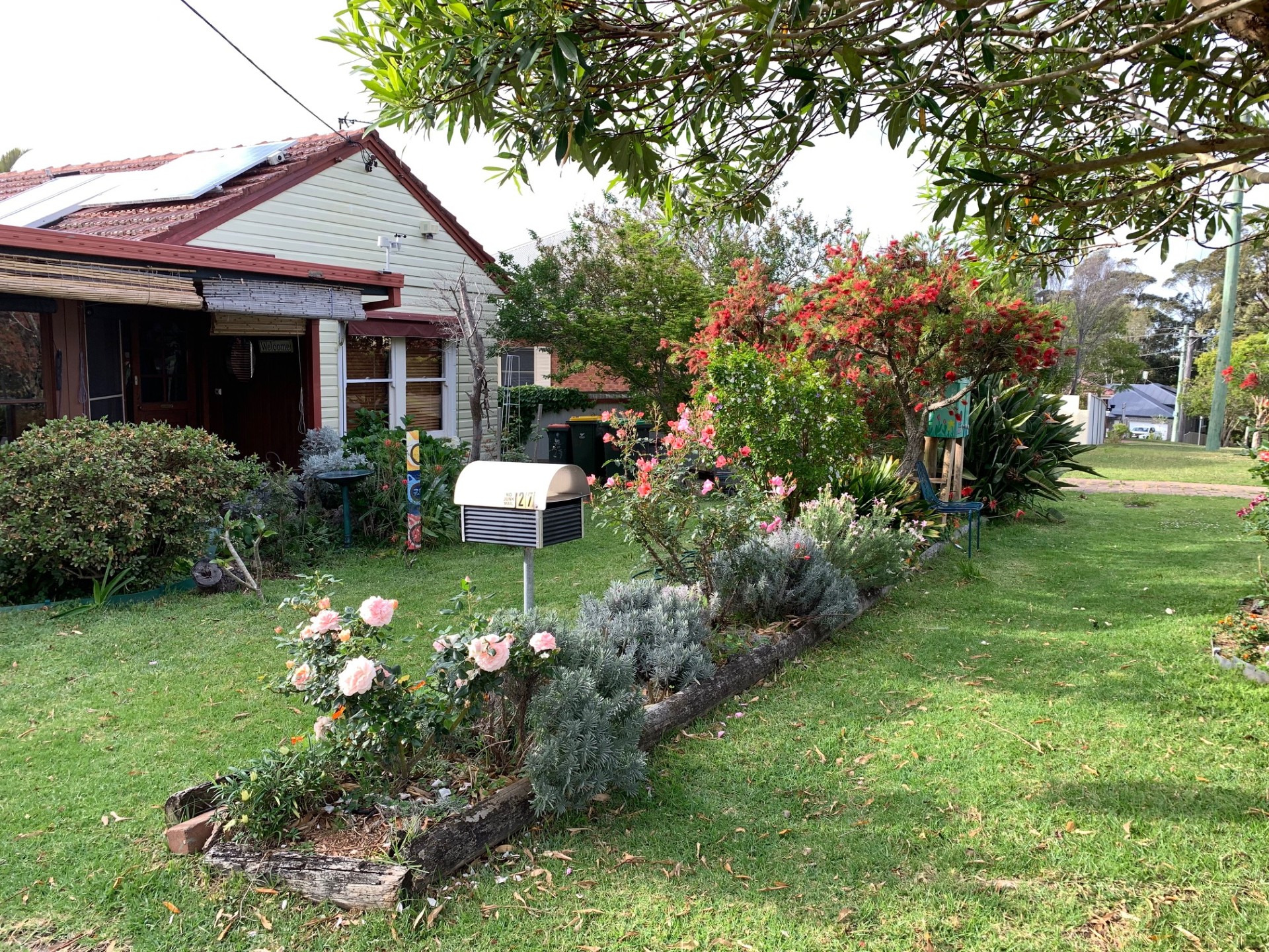Corrimal / Virginie