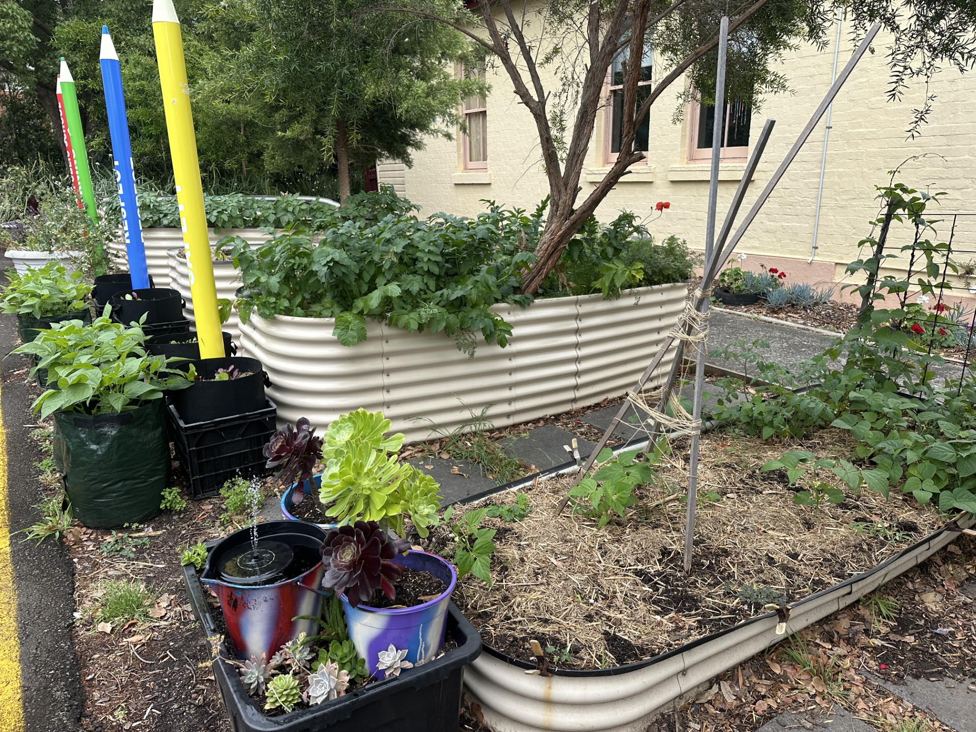 Corrimal / Corrimal Public School