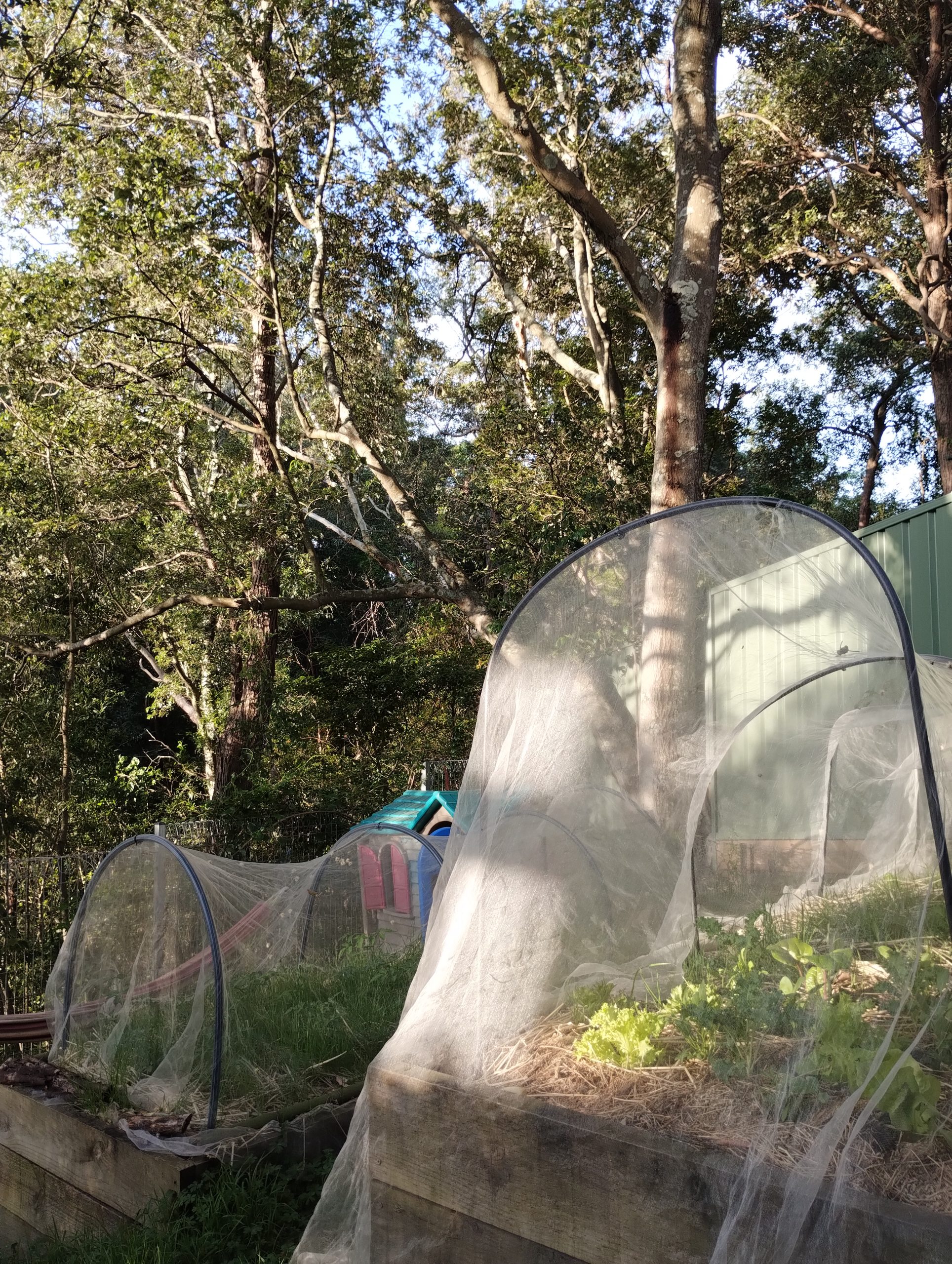 West Wollongong / Clementina Velasco and Emmett Weatherford