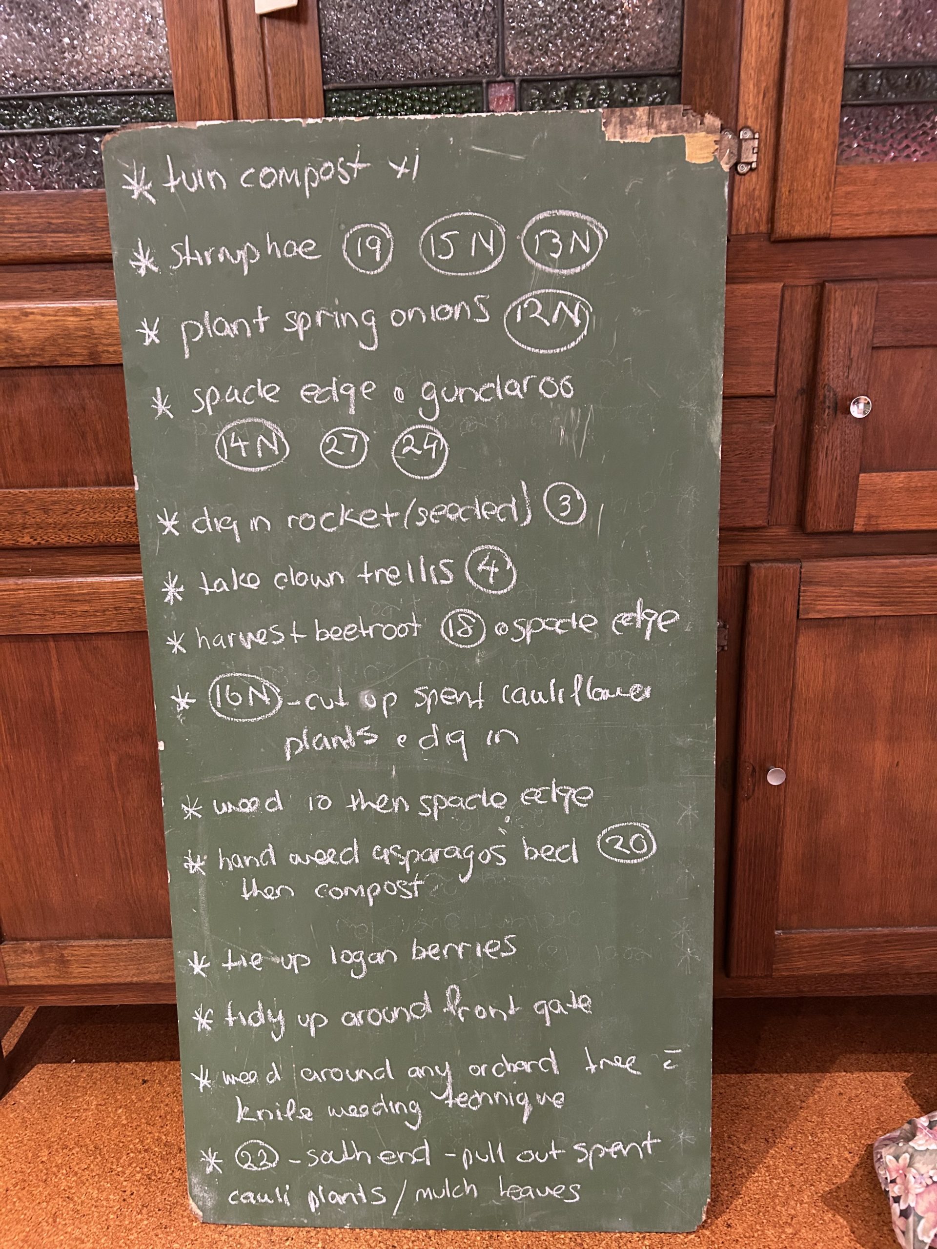 Woonona / Woonona Community Garden
