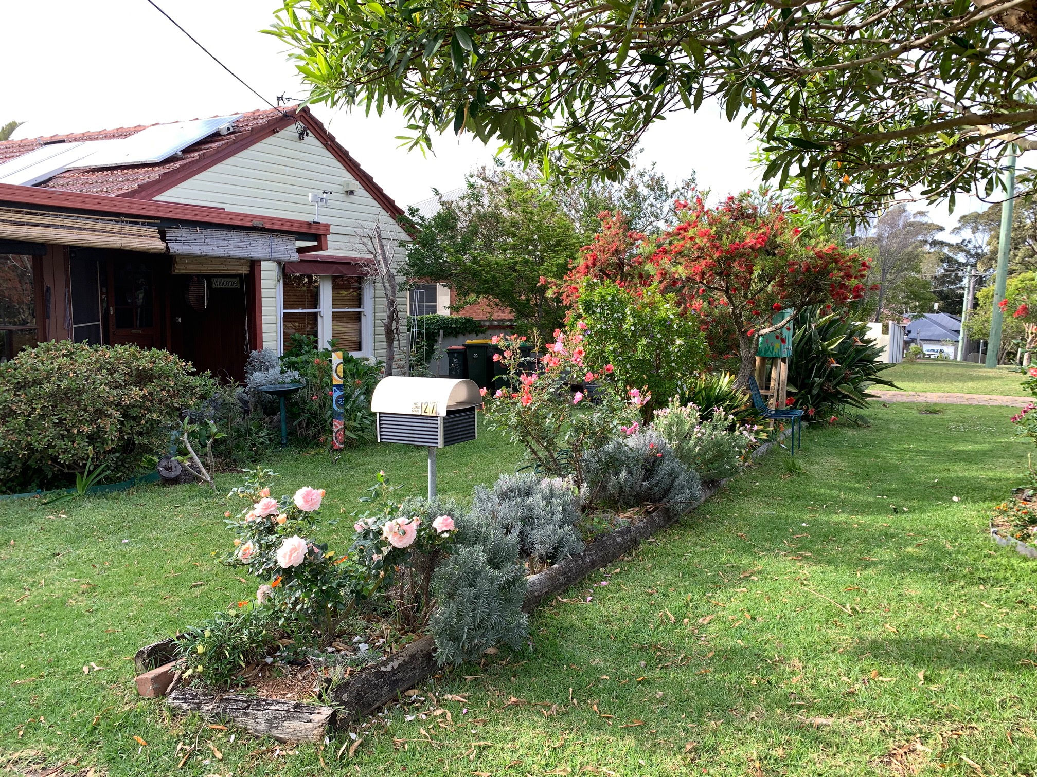 Corrimal / Virginie