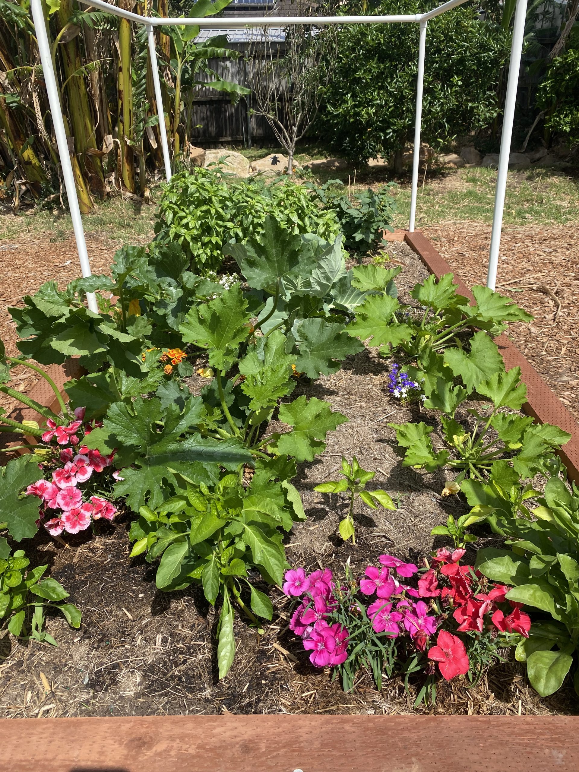 Albion Park / Mount Terry Public School